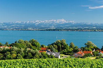 Blick auf den Bodensee